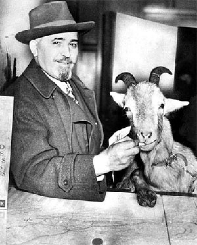 Photo shows William Sianis and his goat. The goat was ejected from Wrigley Field on October 12, during the 1945 World Series, despite having his own paid seat. An angry Sianis cursed the Cubs, saying they would never again win a World Series. The Cubs went on to lose the 1945 Series, and have since never appeared in a World Series game. Photo: https://www.flickr.com/photos/guano/ 