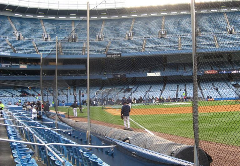 New York City Council Wants More Netting at Baseball Games